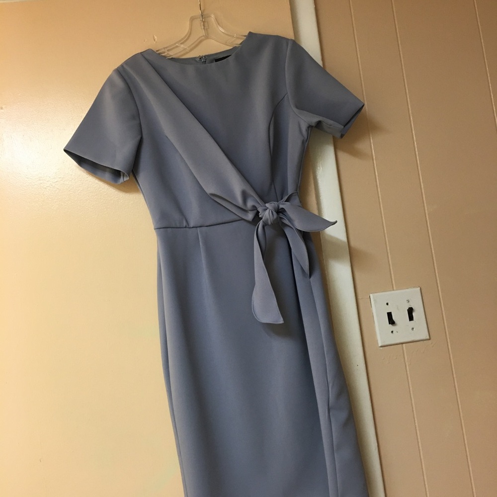Phase Eight Dress